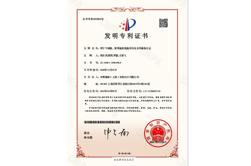 发明专利证书
